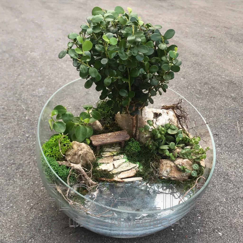 Флорариум "Родник" 5 литров