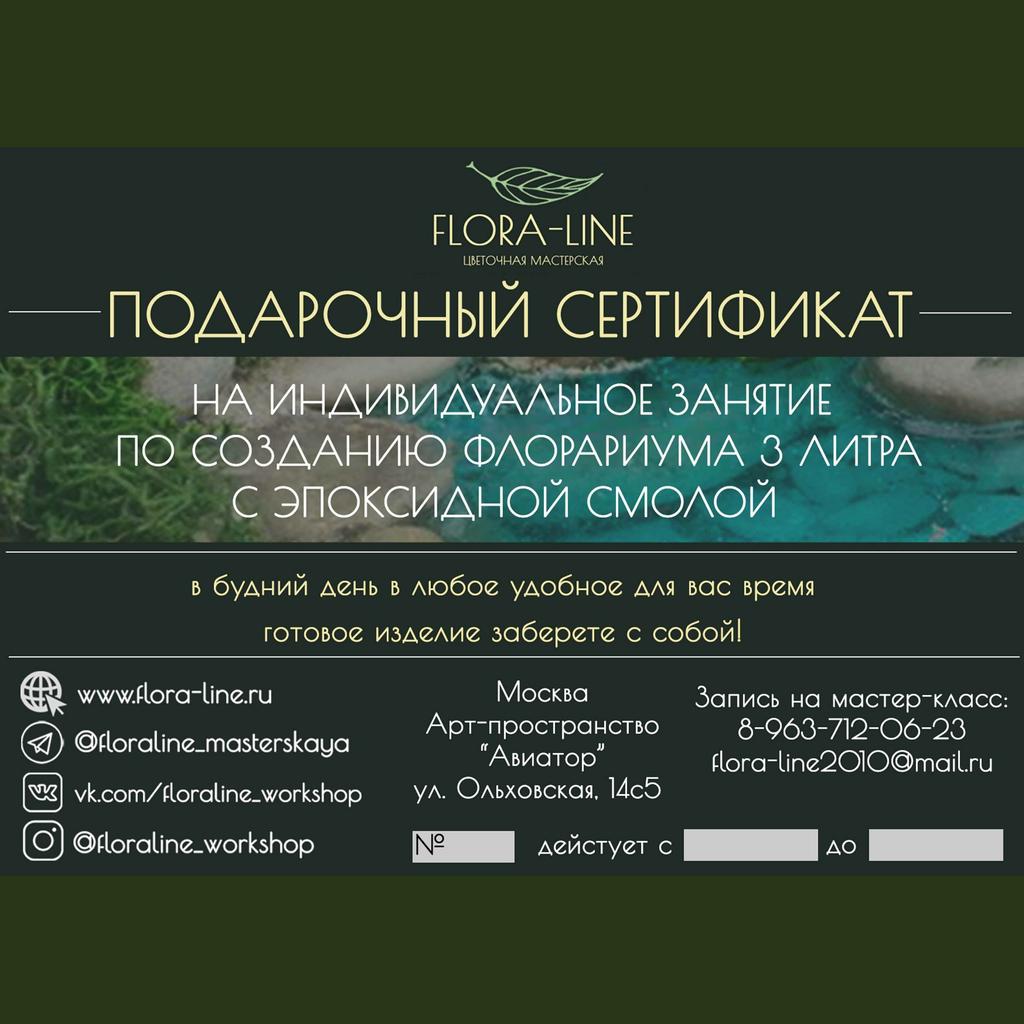 Сертификат на индивидуальный мастер-класс по созданию флорариума 3 литра с эпоксидной смолой