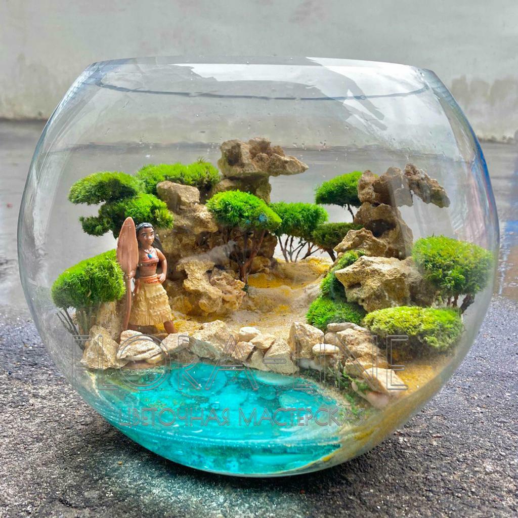 Моссариум 7 литров "Моана"