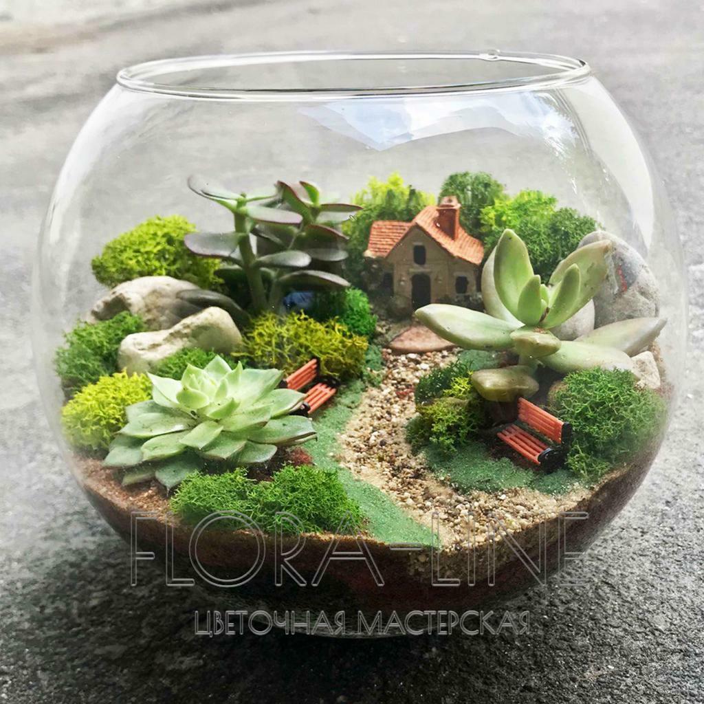 Флорариум "Уютное место" 3 литра