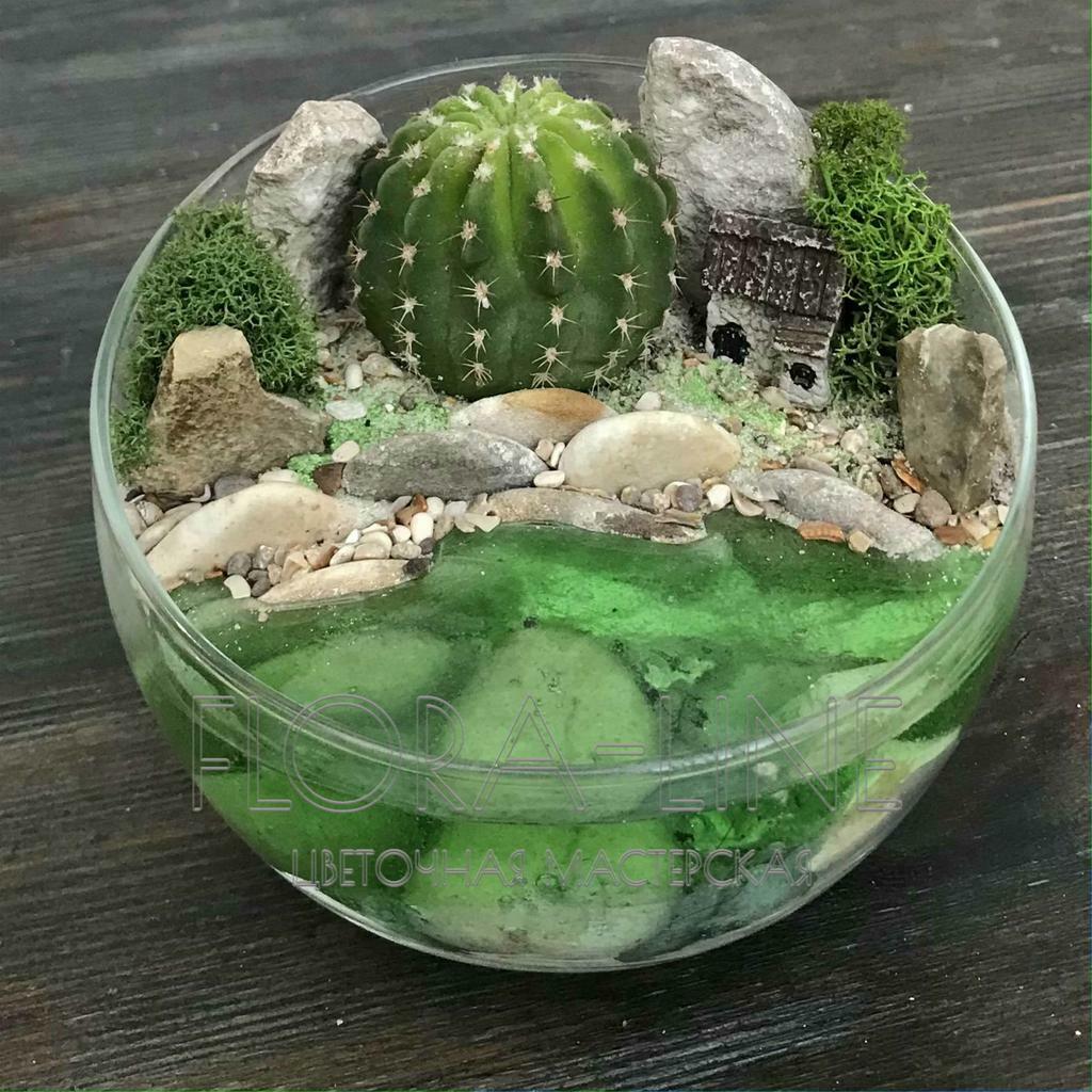 Флорариум "Дом у кактусового озера" 1 литр