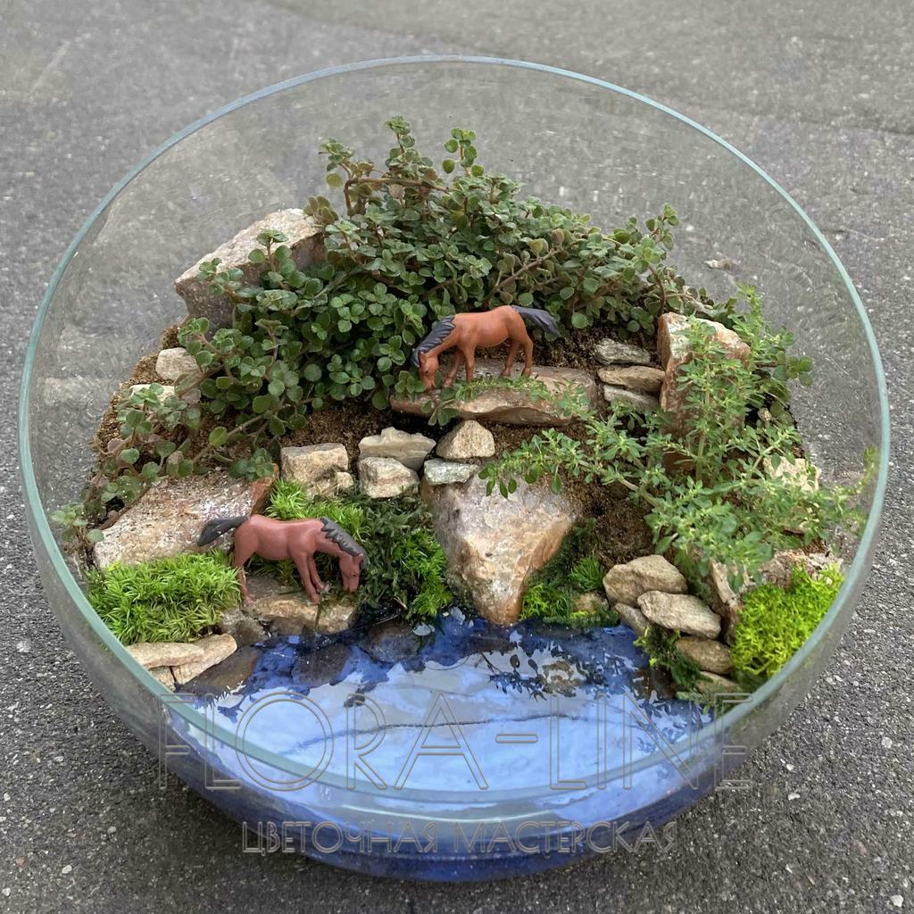 Флорариум 5 литр "Водопой"