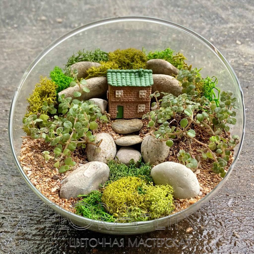 Флорариум "Дом в горах" 2 литра