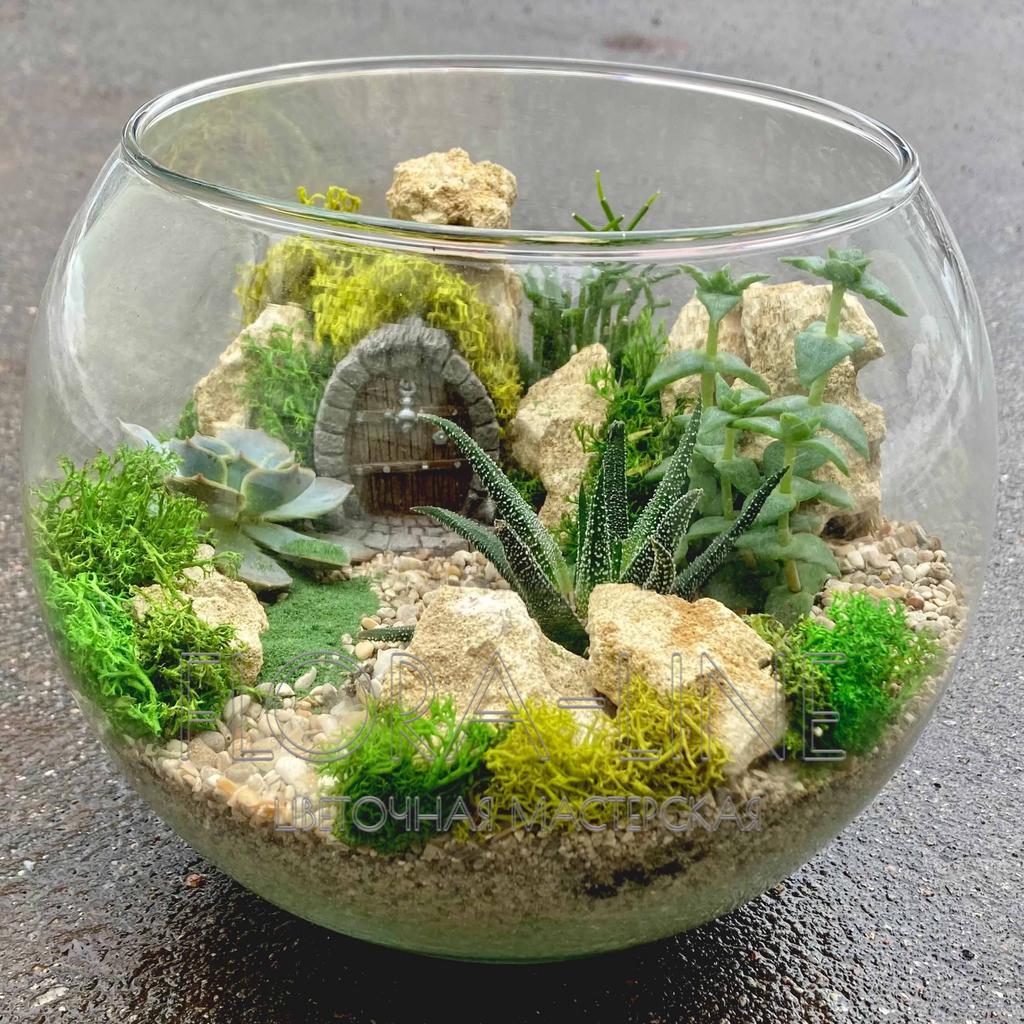 Флорариум 5 литров "По лесной тропе"