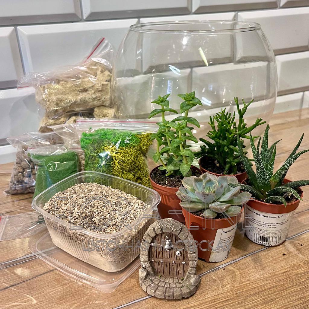 Набор для создания флорариума 5 литра "По лесной тропе"