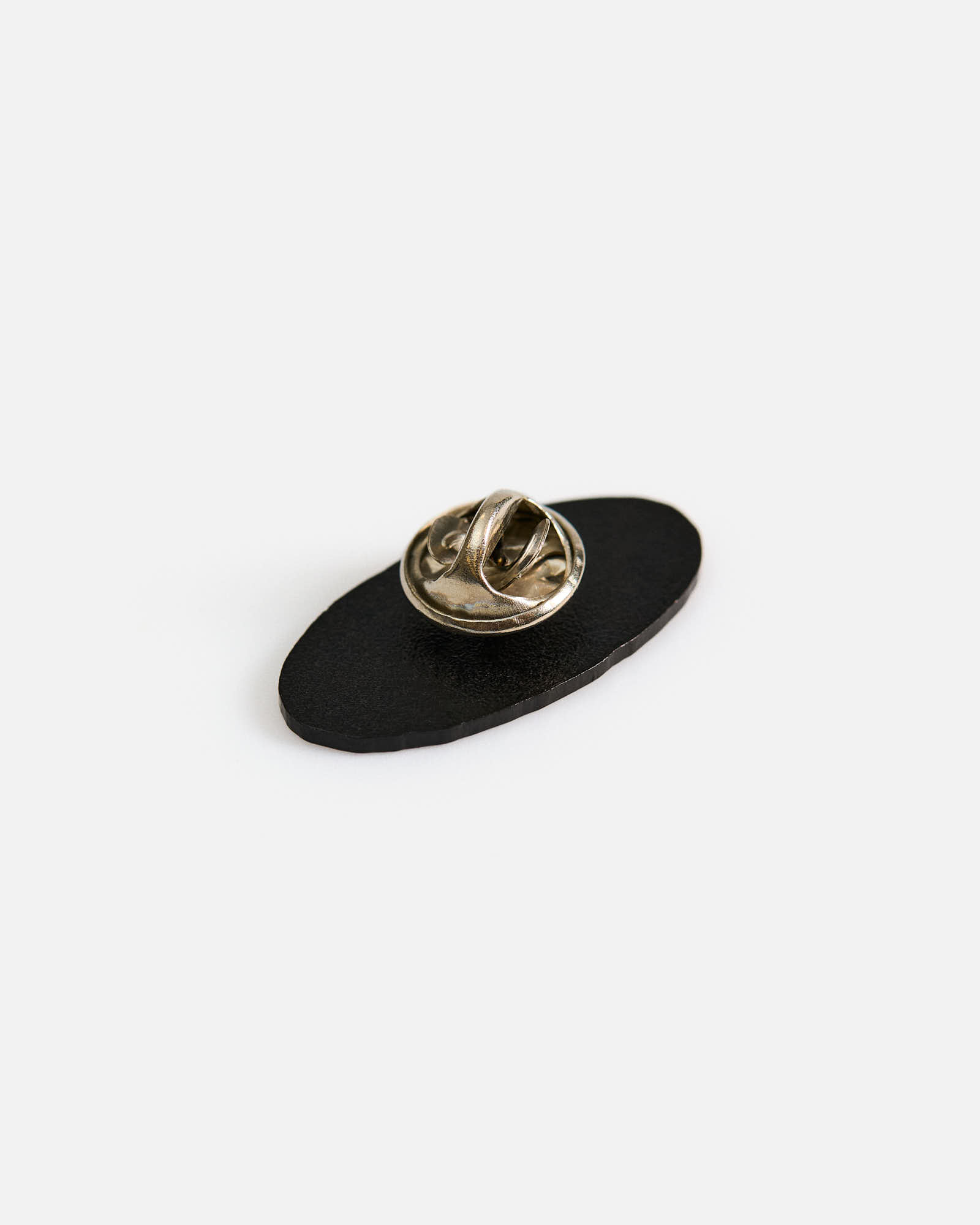 Значок Anteater Pin