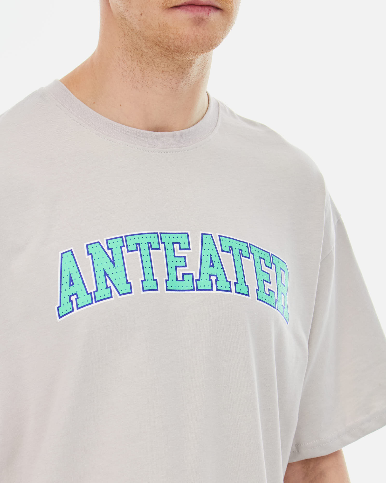 Футболка Anteater Tee