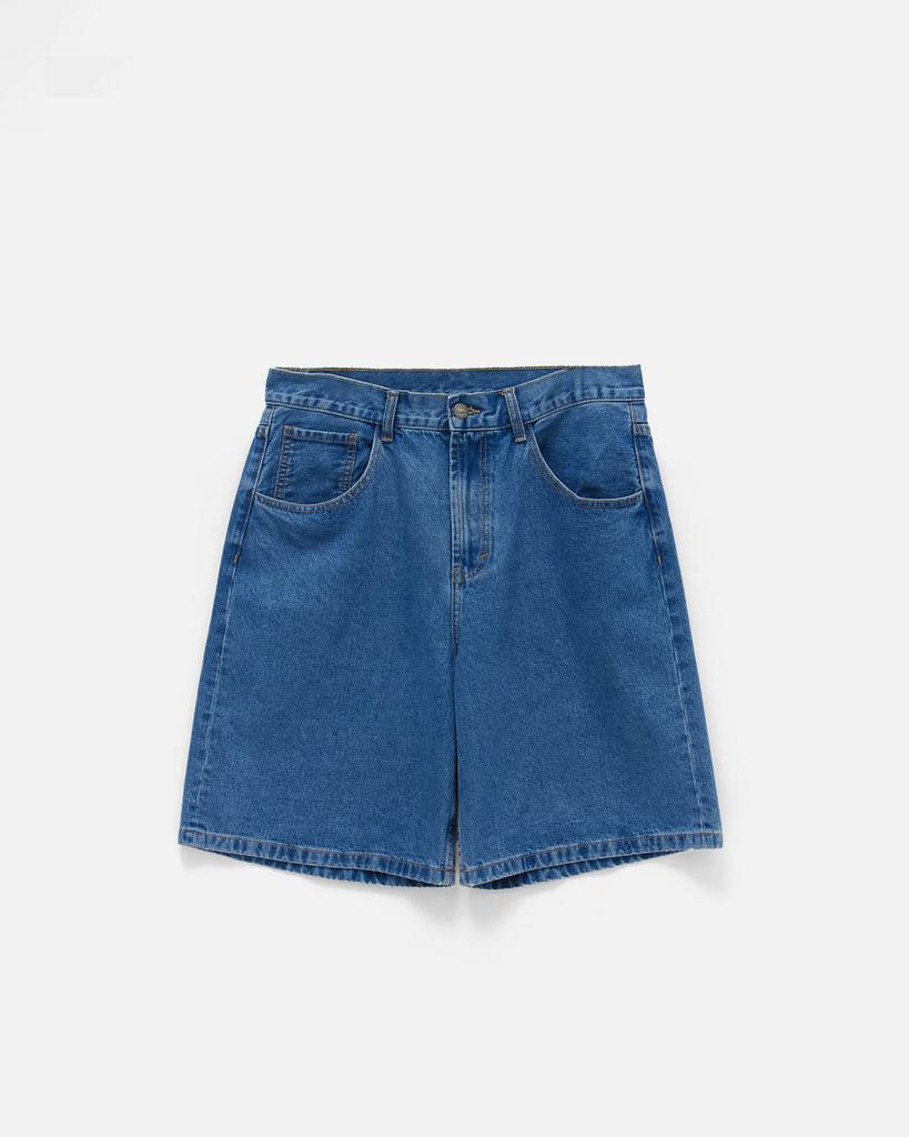 Шорты Anteater Baggy