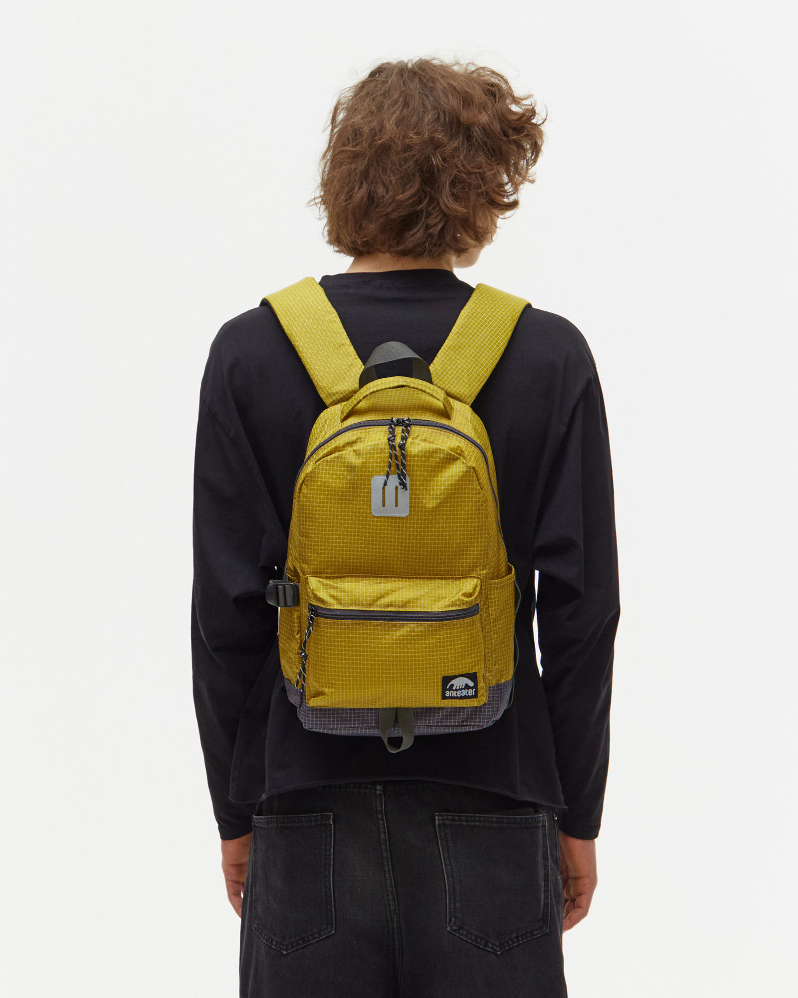 Рюкзак Anteater Nano Bag
