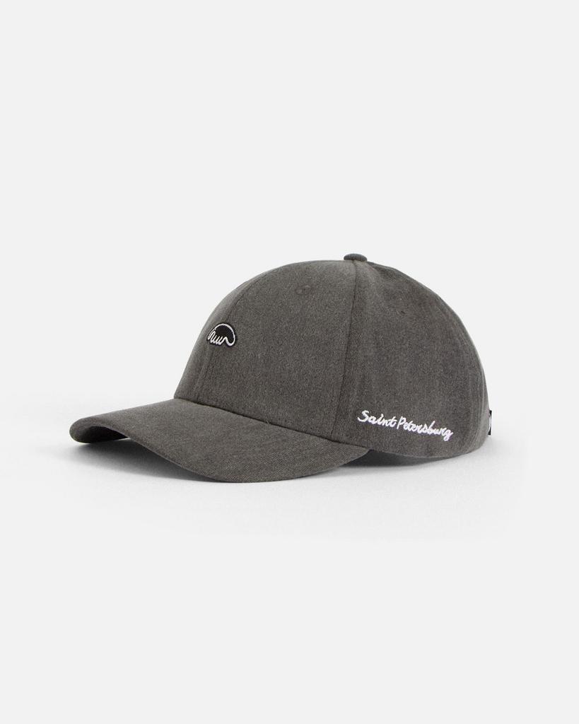 Кепка Anteater Baseball