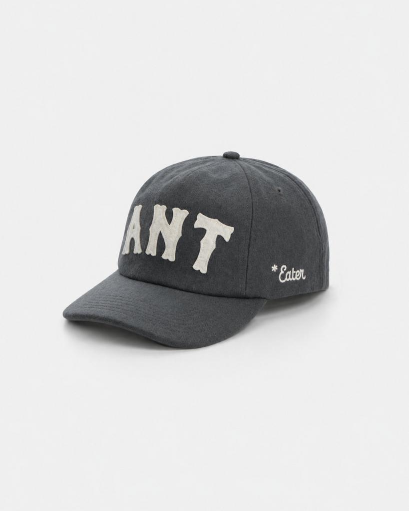 Кепка Anteater Snap