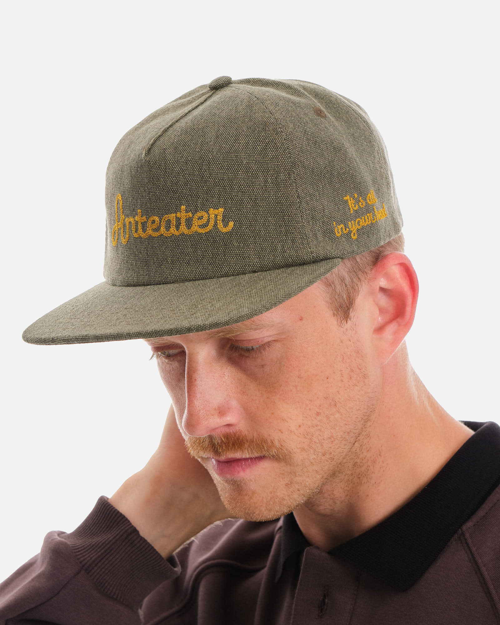 Кепка Anteater Snap