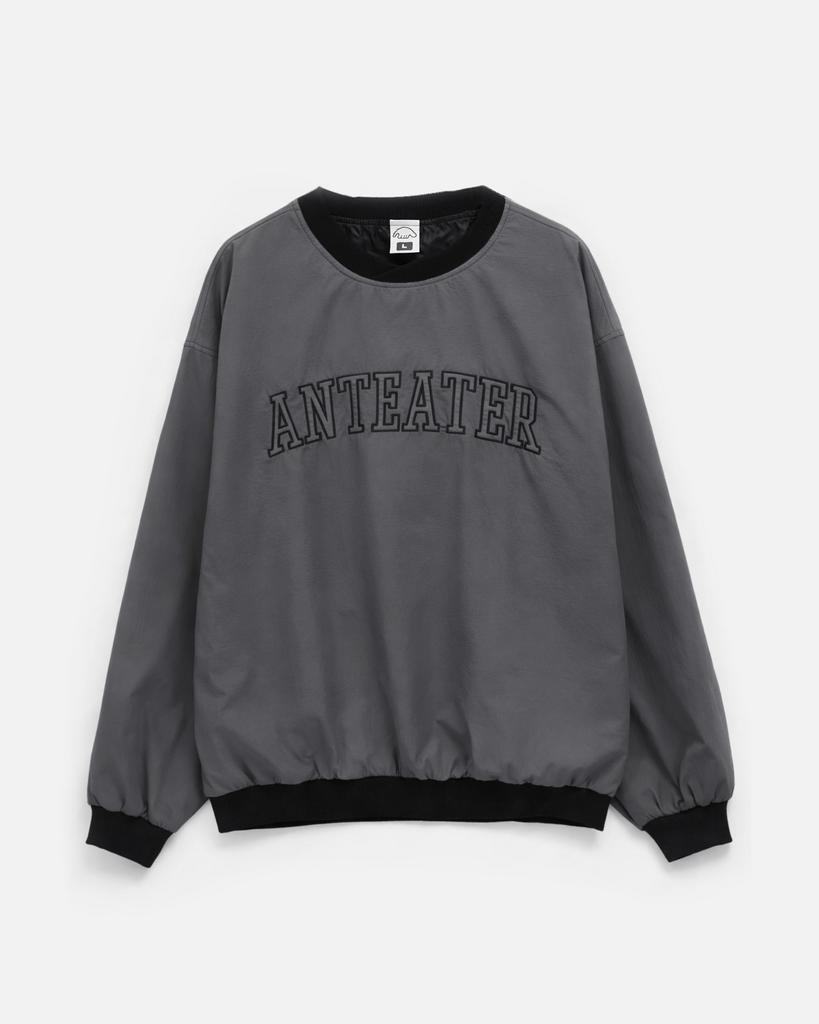 Толстовка Anteater Jersey