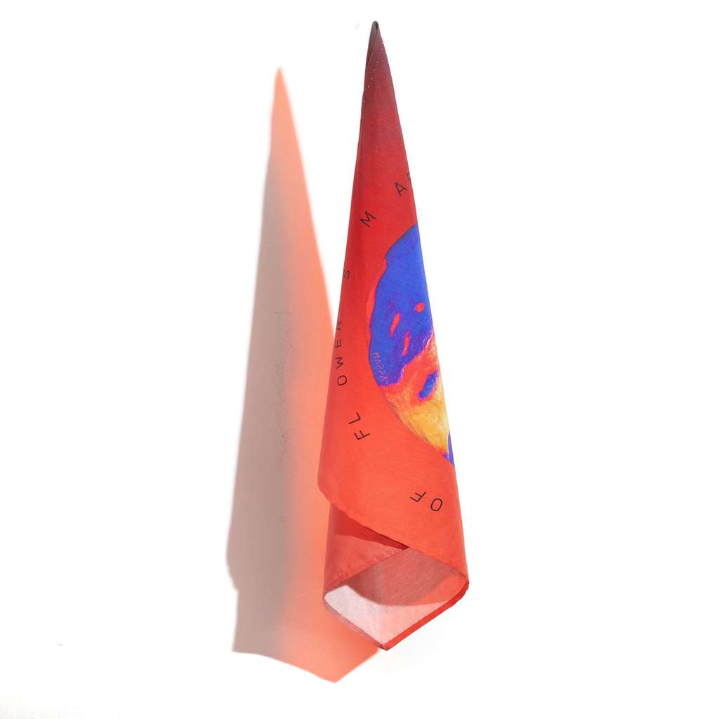 Платок "Геоид"