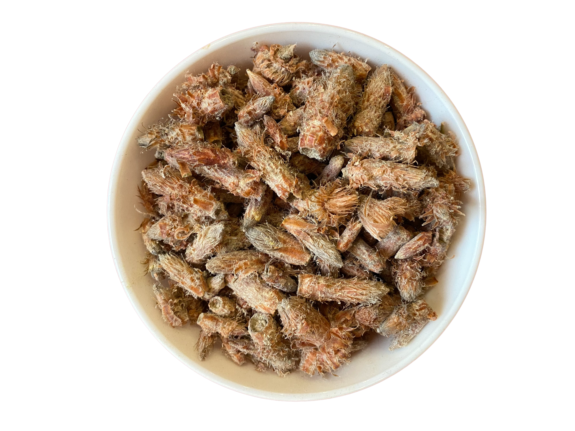 Почки сосновые