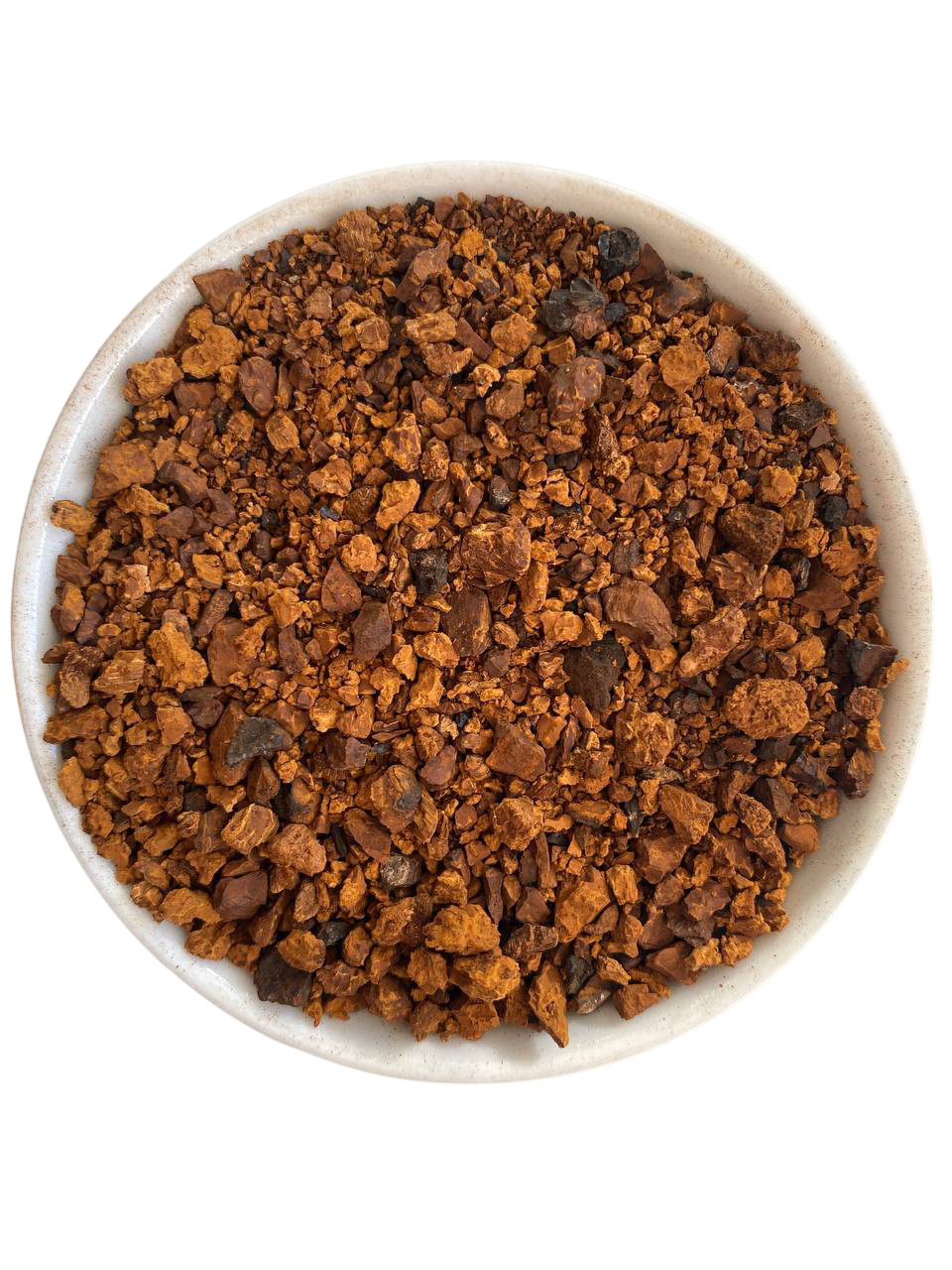 Чага (березовый гриб)