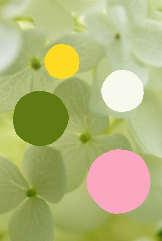 Мешок с цветами