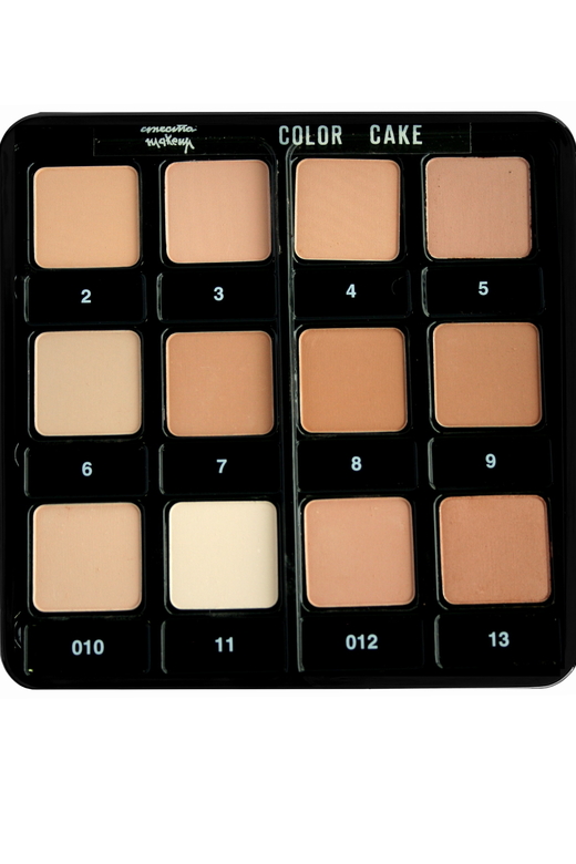 Тон-пудра в палитре