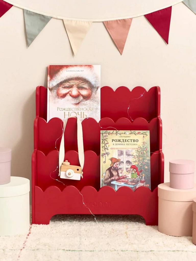 Книжнаяя полка РЮША