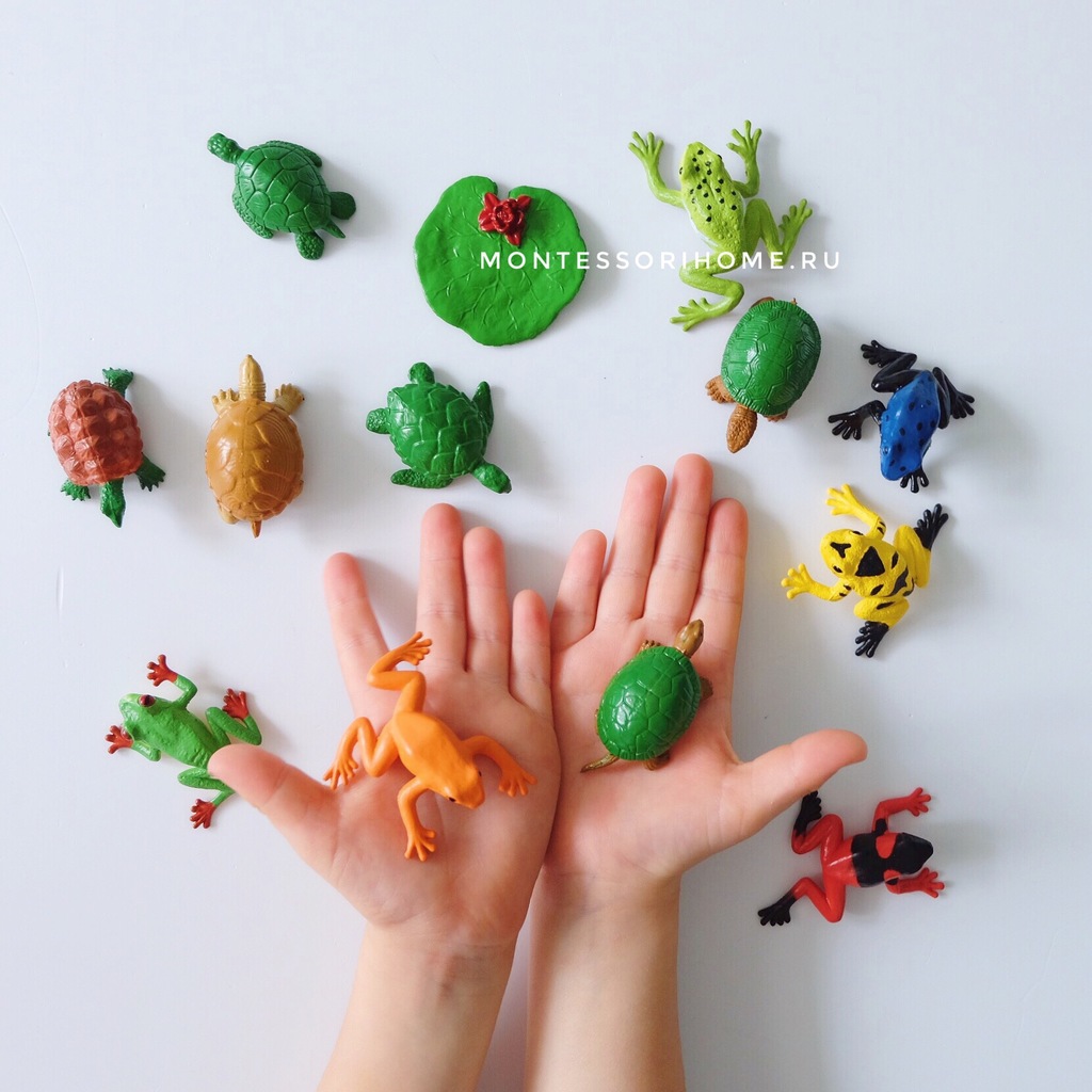 Набор фигурок "Лягушки и черепахи"