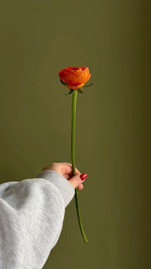 Ранункулюсы оранжевые