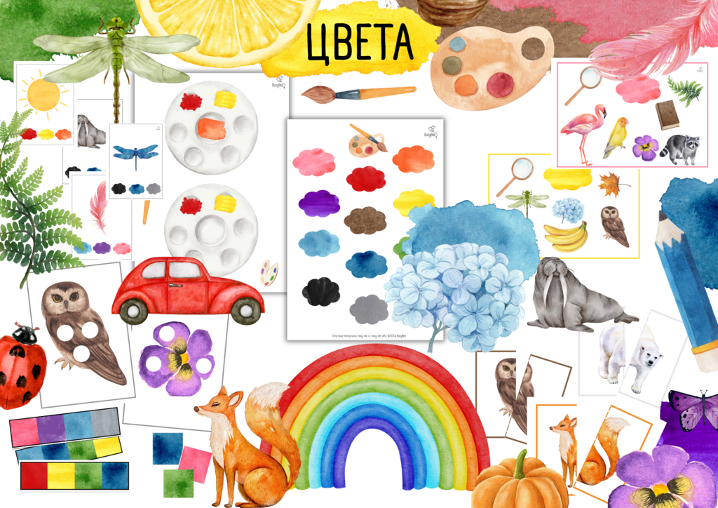 ПРОЕКТ  "ЦВЕТА"