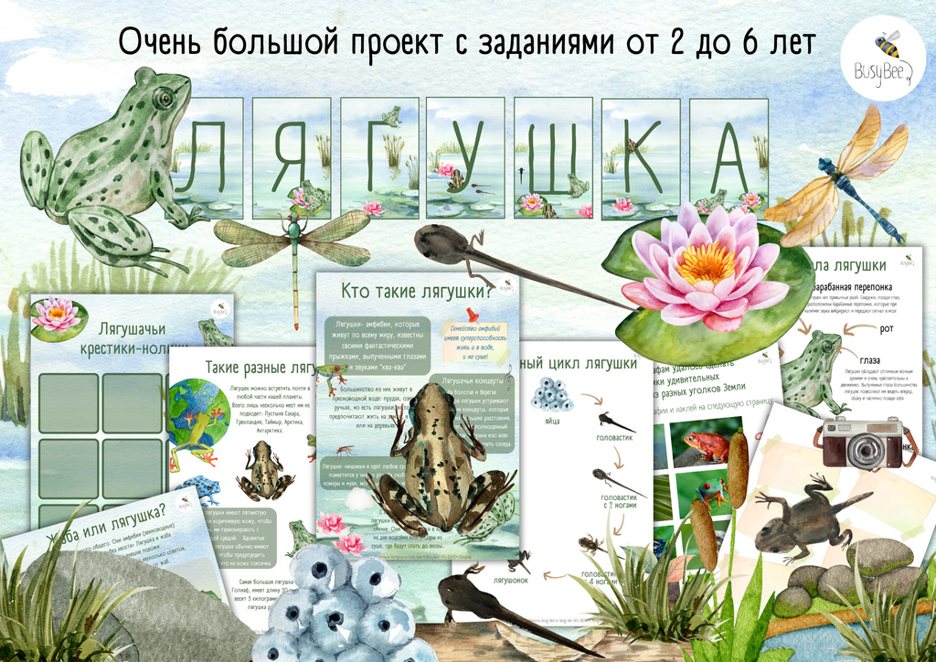 БОЛЬШОЙ ПРОЕКТ  "ЛЯГУШКА"