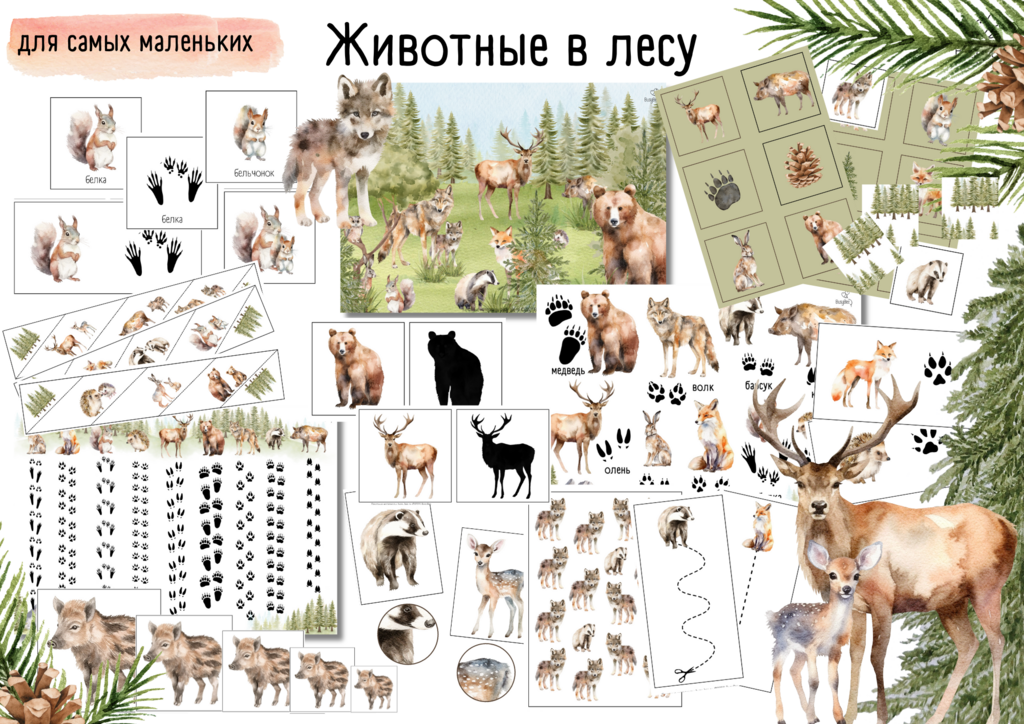 ПРОЕКТ  "ЖИВОТНЫЕ В ЛЕСУ"