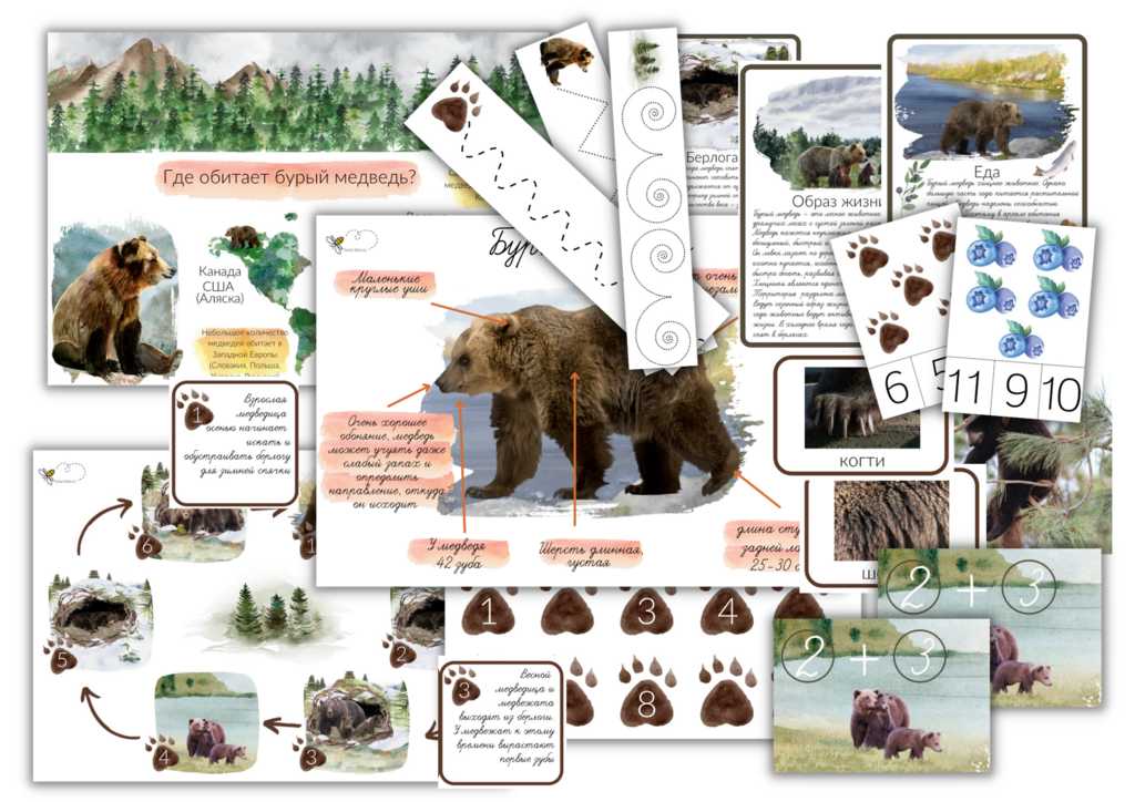 ПРОЕКТ "БУРЫЙ МЕДВЕДЬ"