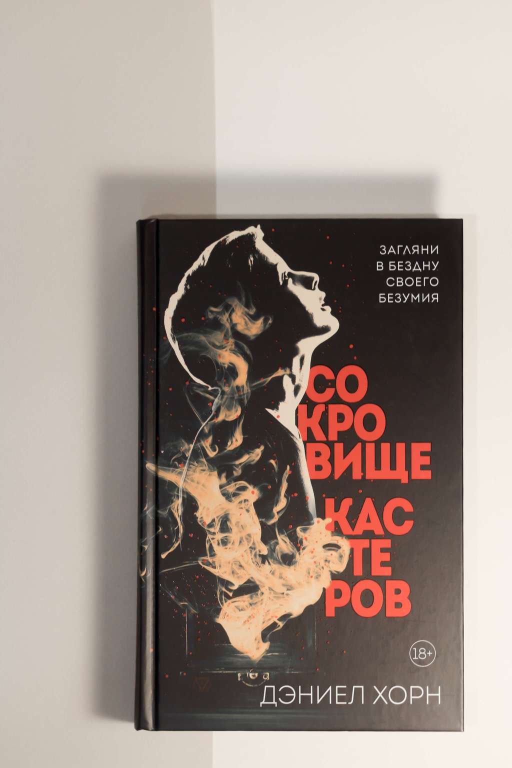 Дэниел Хорн. Сокровище Кастеров