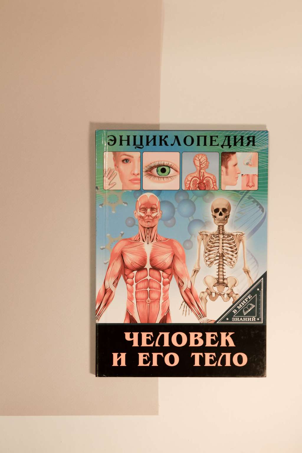 Энциклопедия. Человек и его тело