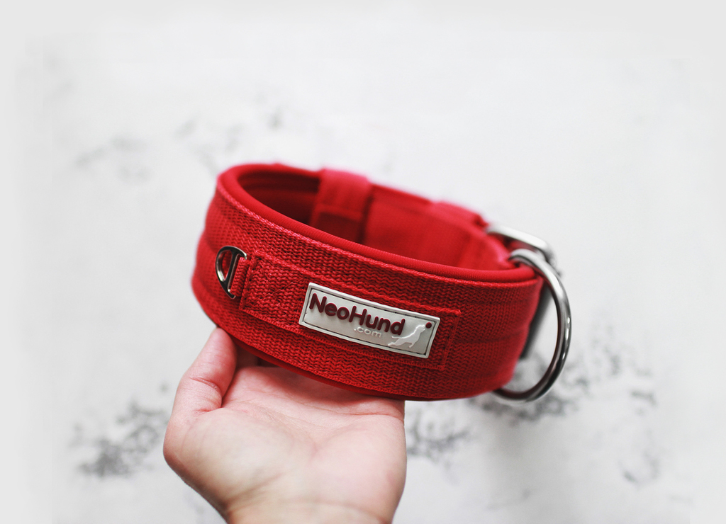 Ошейник For Motion, красный/красный