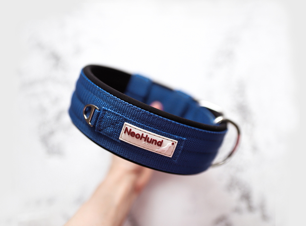 Ошейник For Motion, синий/чёрный
