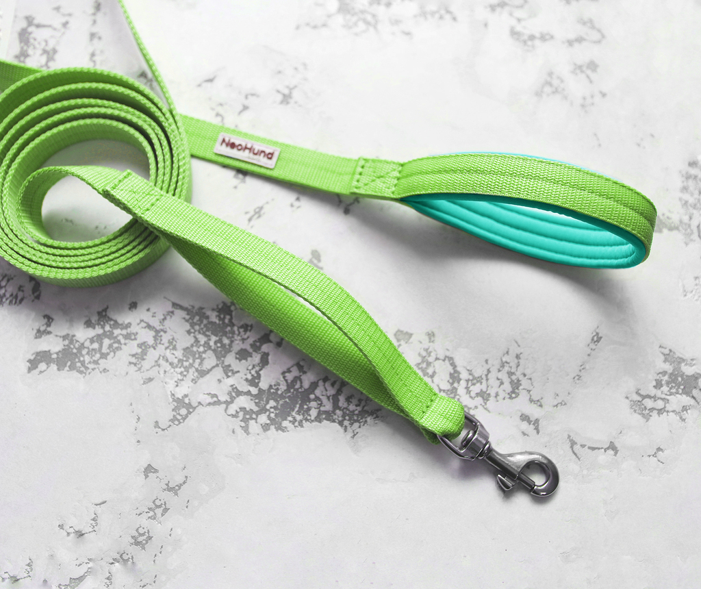 Поводок Double Control, салатовый/мятный