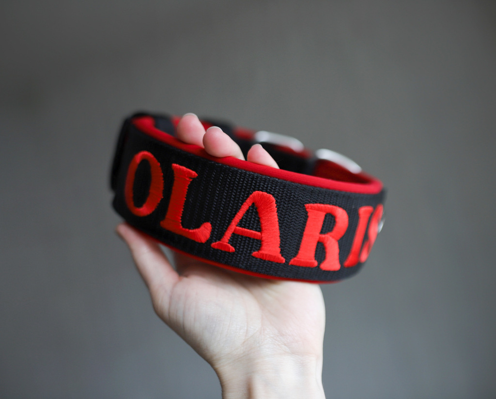 Ошейник For Motion с вышивкой, чёрный/красный