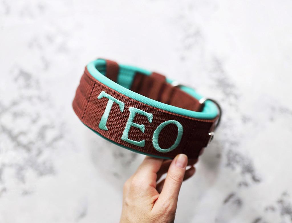 Ошейник For Motion с вышивкой, яркий шоколад/мятный