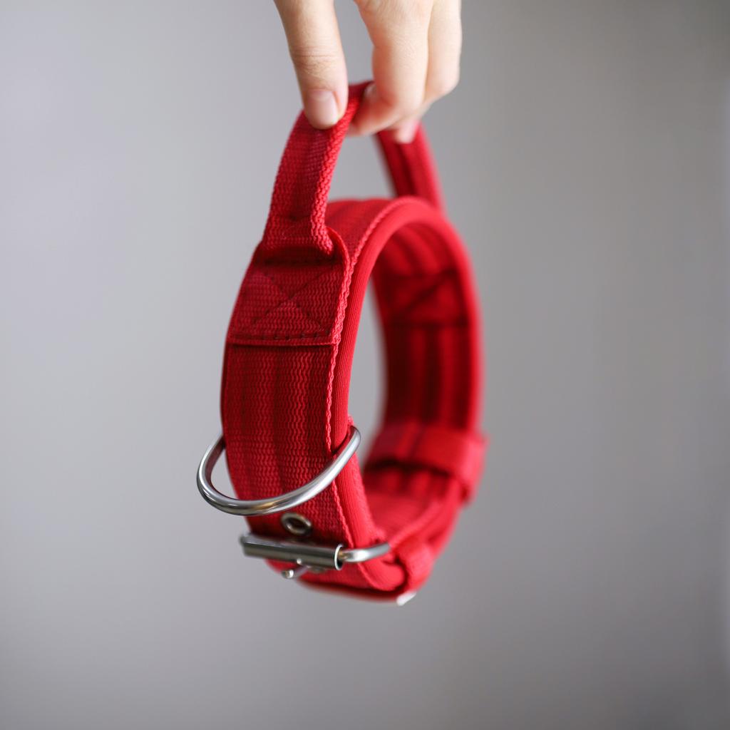 Ошейник For Motion с ручкой, красный/красный