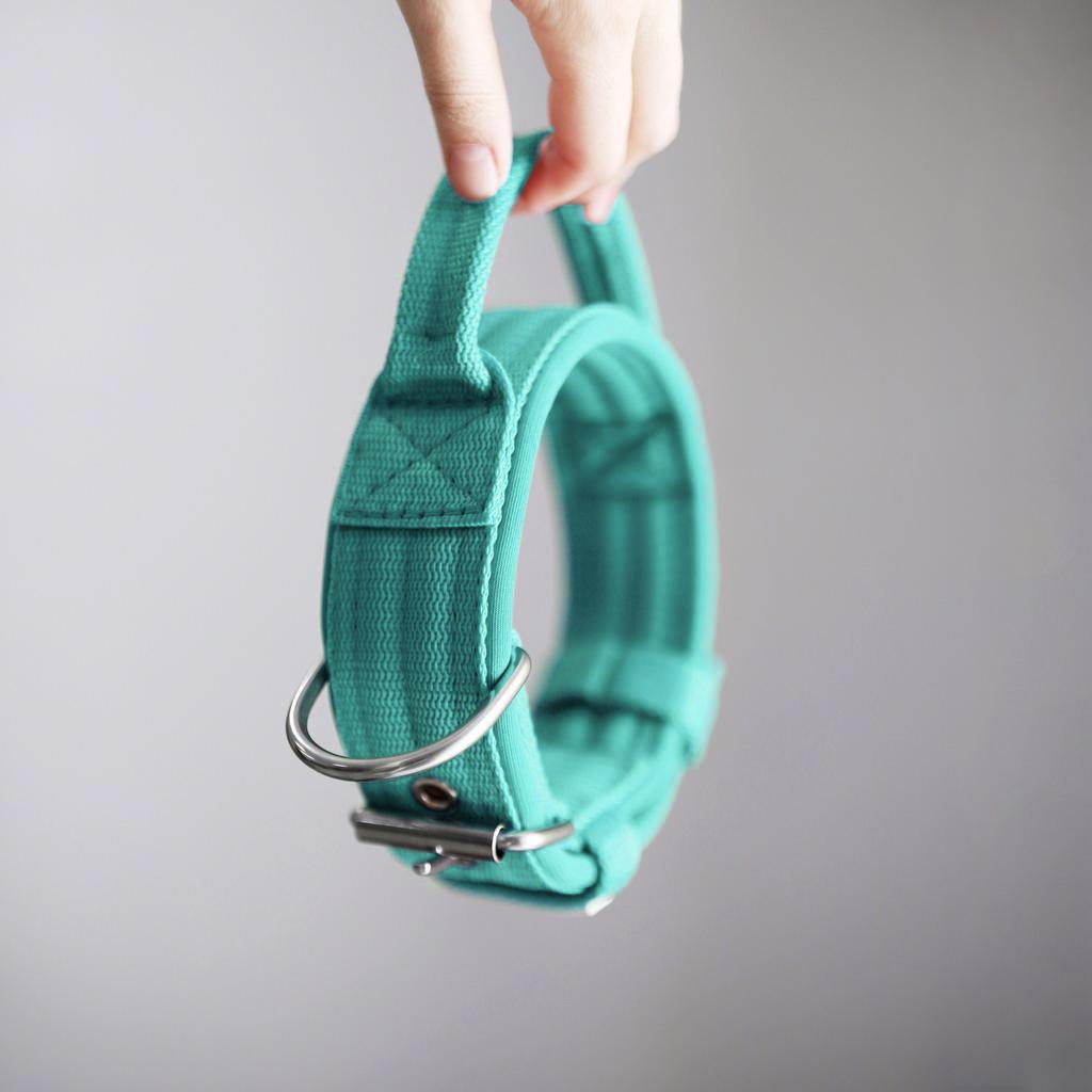 Ошейник For Motion с ручкой, мятный/мятный