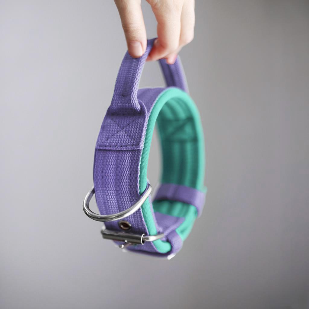 Ошейник For Motion с ручкой, лаванда/мятный