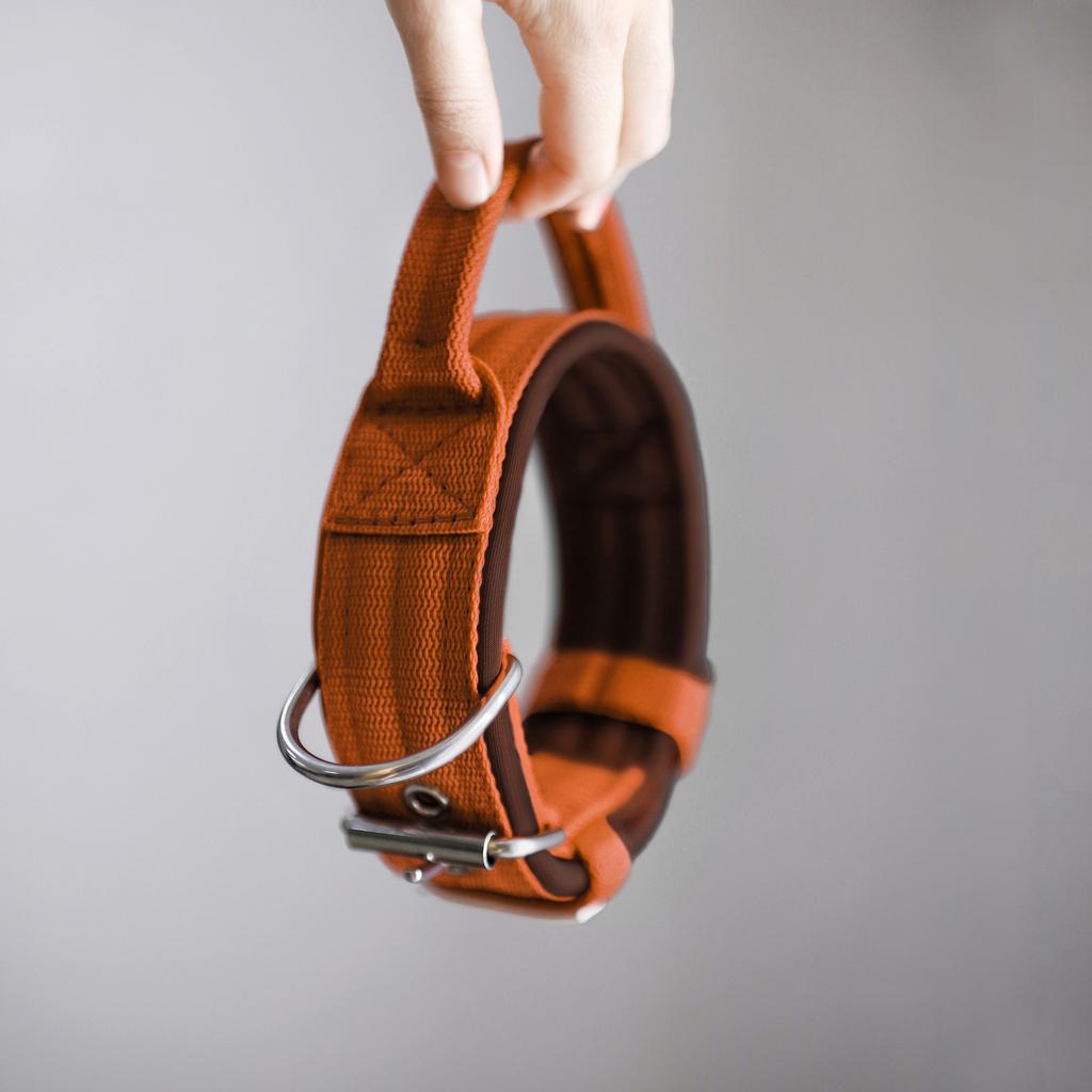 Ошейник For Motion с ручкой, карамель/шоколад