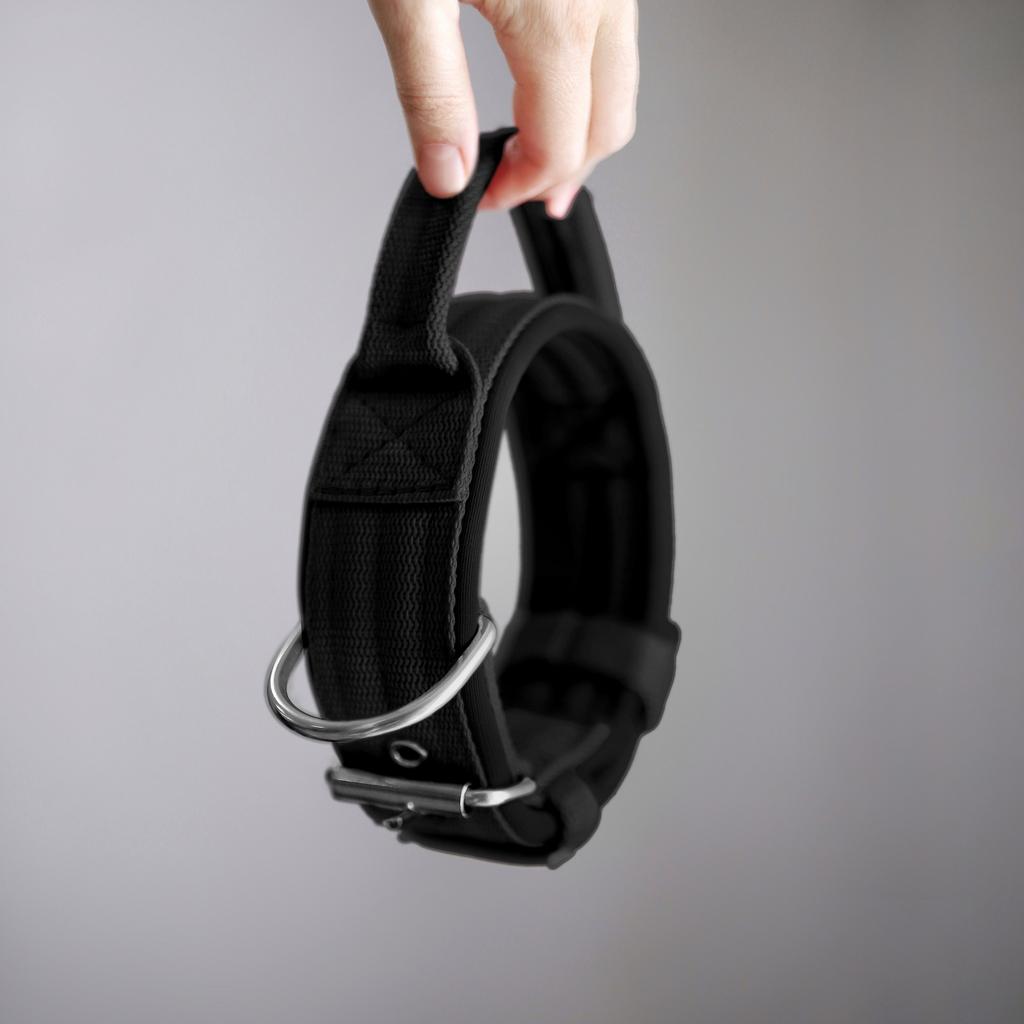 Ошейник For Motion с ручкой, чёрный/чёрный