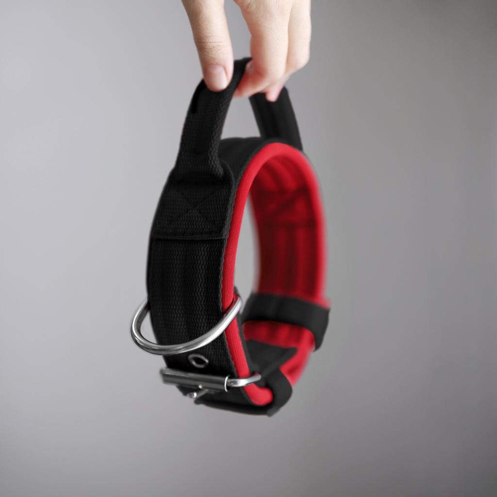 Ошейник For Motion с ручкой, чёрный/красный