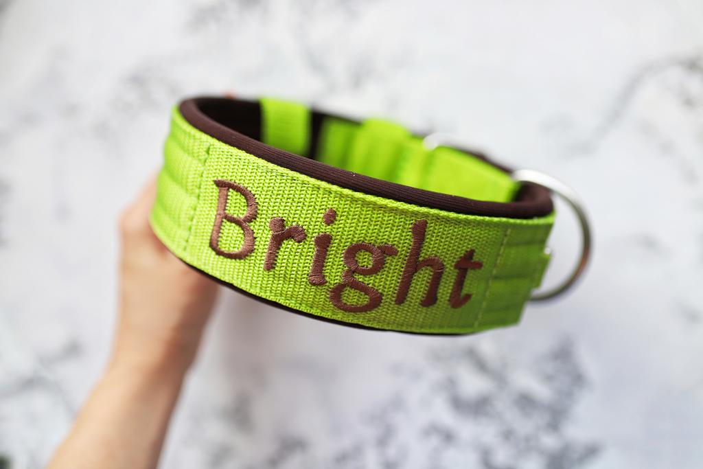 Ошейник For Motion с вышивкой, лайм/шоколад