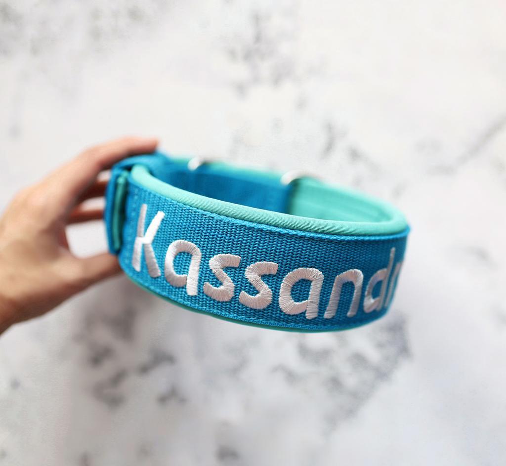 Ошейник For Motion с вышивкой, бирюзовый/жемчужный