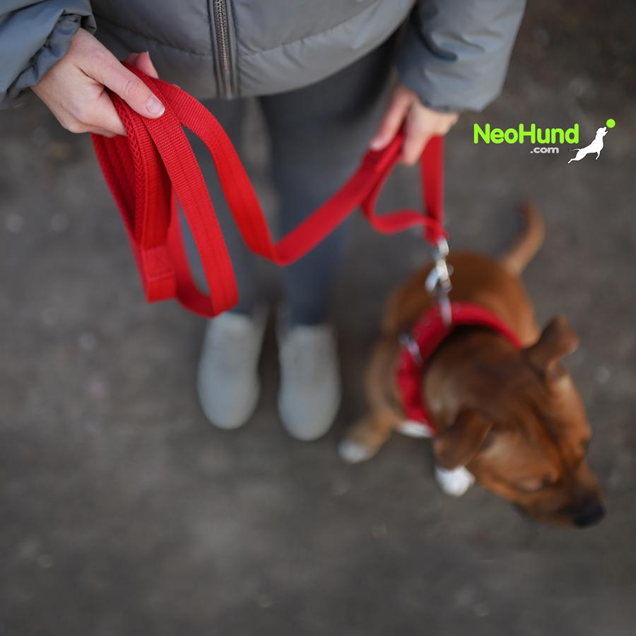 Поводок Air-C, красный