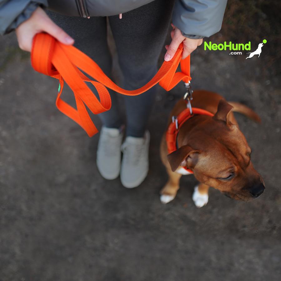 Поводок Air-C, оранжевый