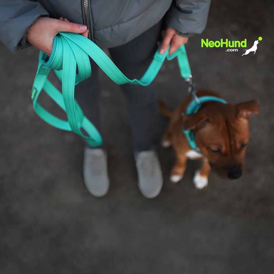 Поводок Air-C, мятный