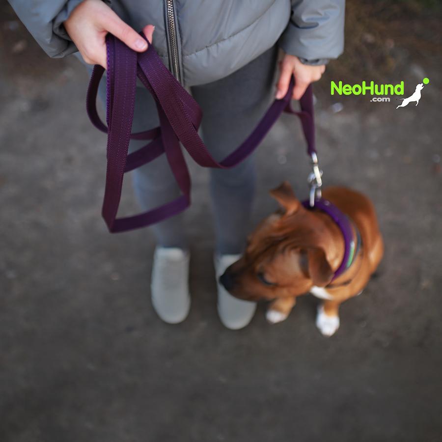 Поводок Air-C, слива