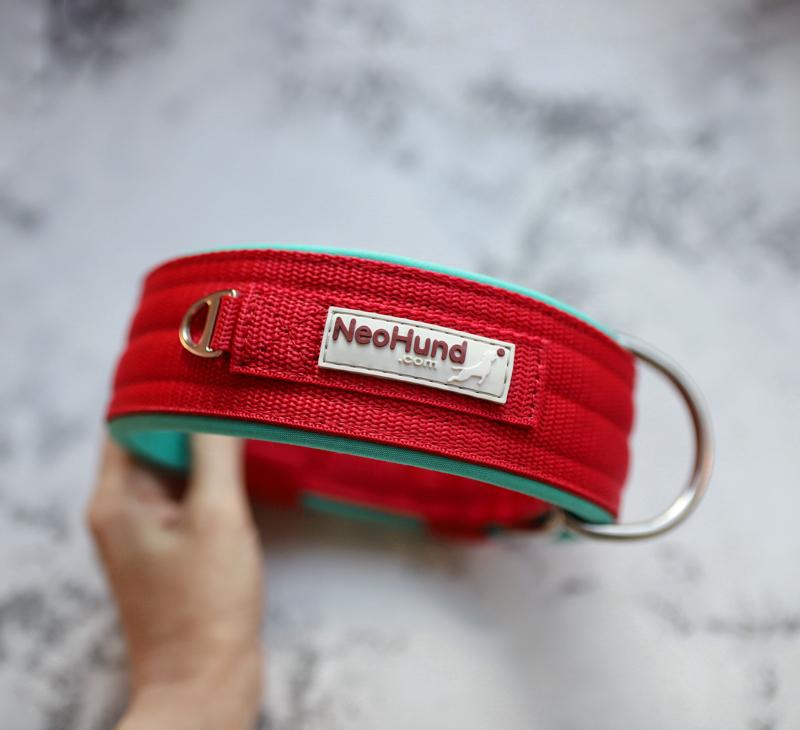 Ошейник For Motion на пряжке красный/мятный, ширина 5,8 см, размер 43-53 см