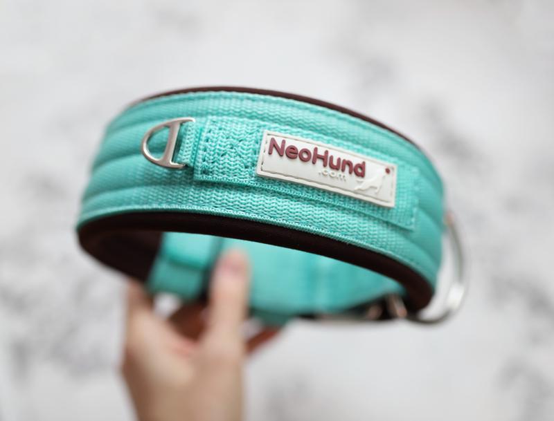 Ошейник For Motion на пряжке мятный/шоколад, ширина 5,8 см, размер 38-48 см